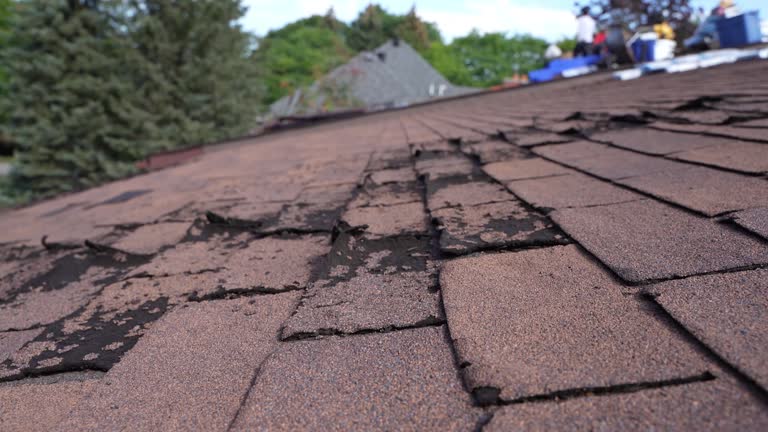 Best Flat Roofing  in Esparto, CA
