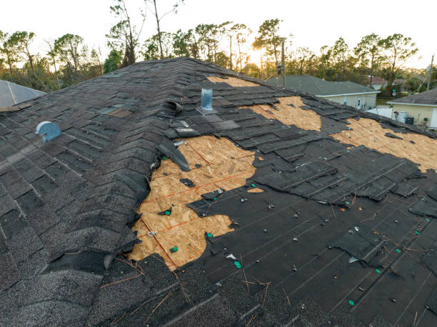 Best Roof Maintenance and Cleaning  in Esparto, CA